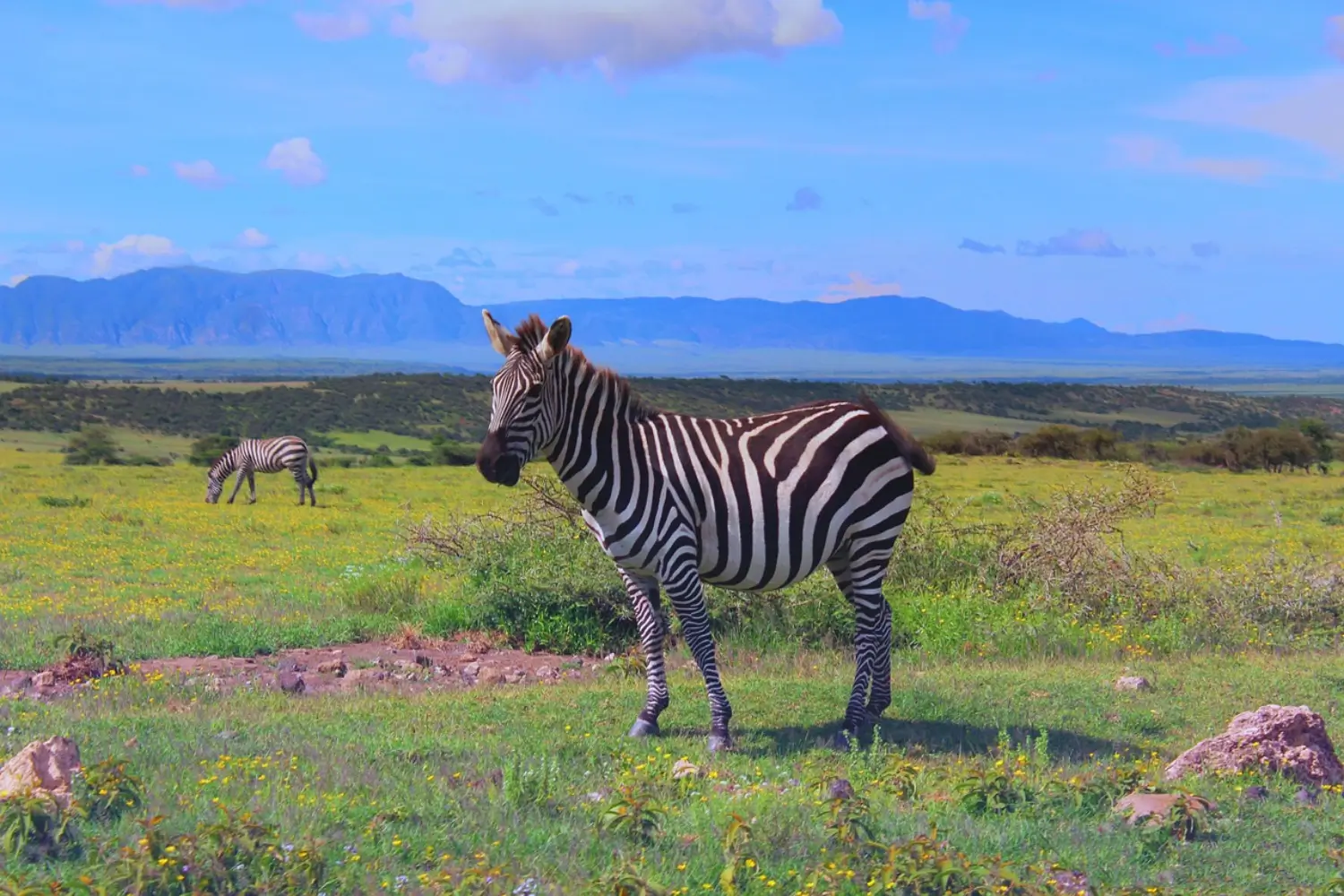 Arusha National Park