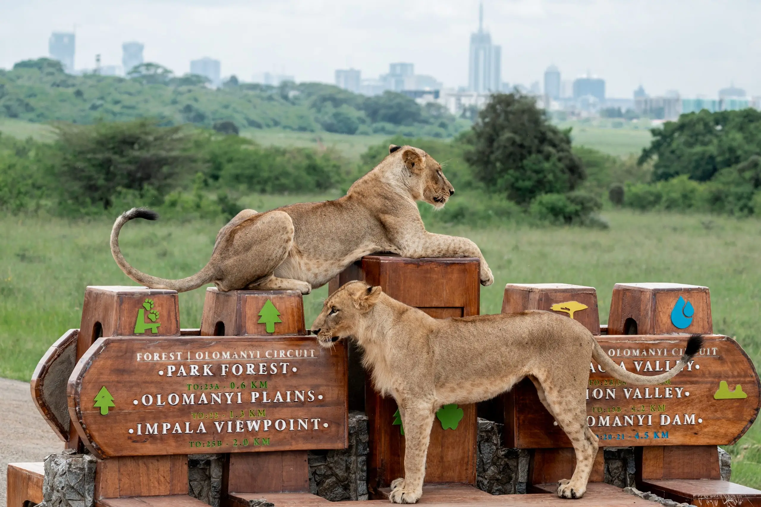 Nairobi National Park