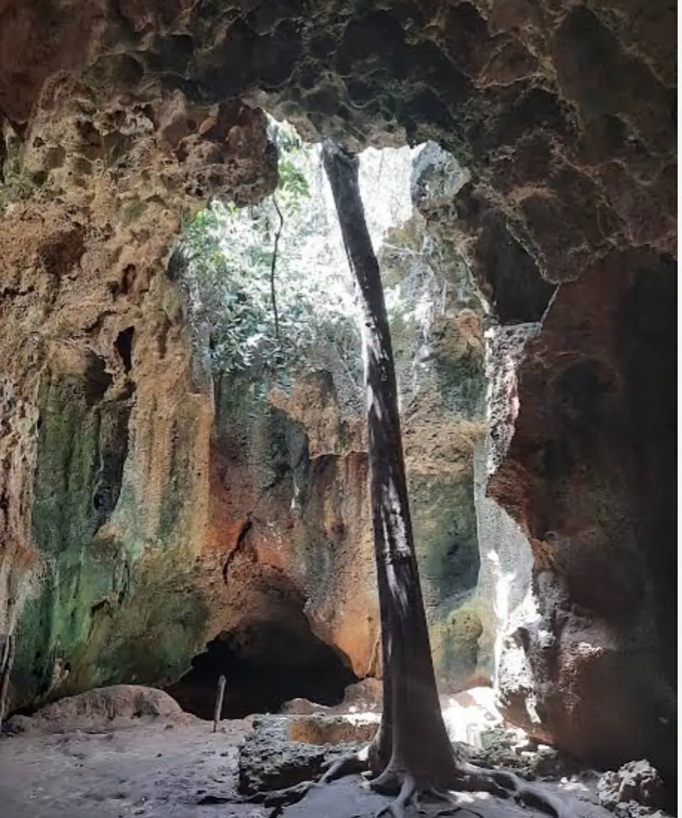 Shimoni Caves
